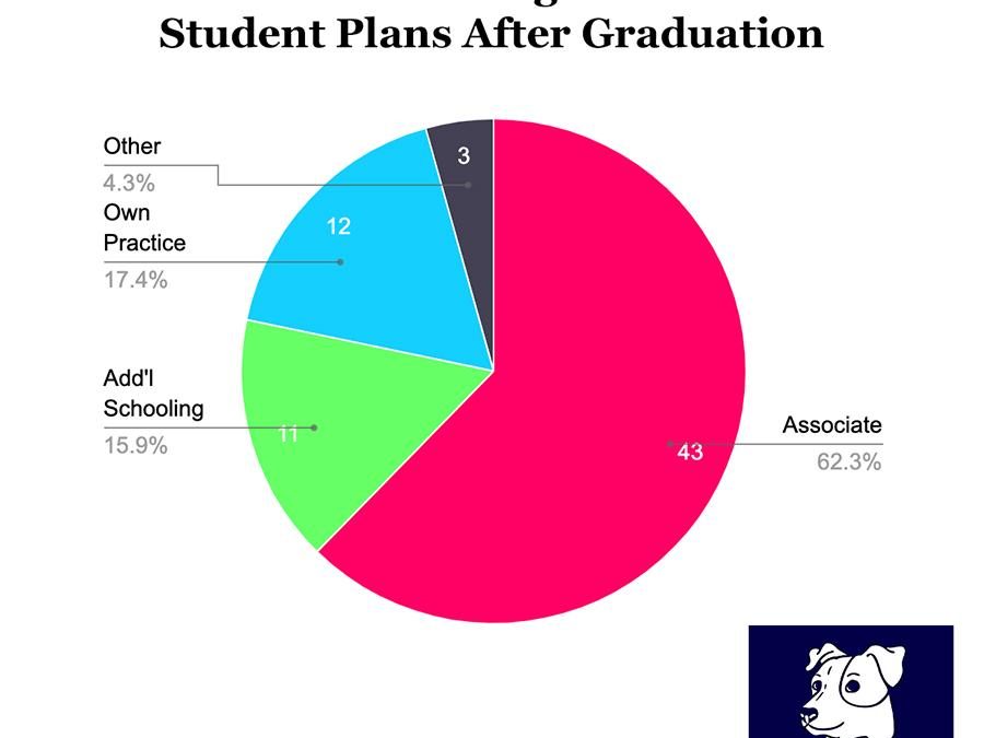 DCG Dental Students – After School Plans