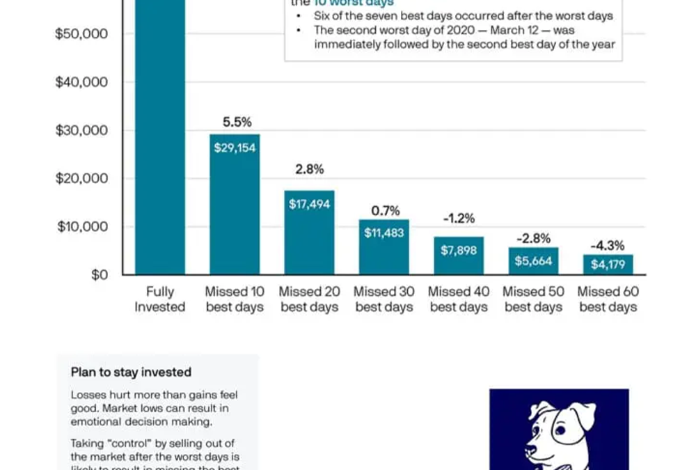 Investment Markets Sink. What to Do…